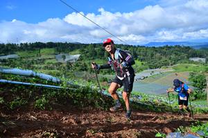 BIB: 
                            <button type="button" onclick="openModal(13380814)" class="btn btn-primary btn-sm float-right btn-popup" data-toggle="modal" data-target=".modal-high-quality">
                        <i class="fas fa-shopping-cart"></i> Add to Cart
                    </button>
                                            <button type="button" onclick="isThisMe(13380814, true)" class="btn btn-success btn-sm float-right btn-popup btn-isme hidden" data-toggle="tooltip" data-placement="bottom" title="นี่คือรูปของคุณใช่ไหม คลิกที่นี่เพื่อเอาเข้าอัลบั้ม">
                        <i class="fas fa-plus"></i> Add to album
                    </button>
                    <button type="button" onclick="isThisMe(13380814, false)" class="btn btn-warning btn-sm float-right btn-popup btn-isnotme hidden">
                        <i class="fas fa-ban"></i> Remove from album
                    </button>